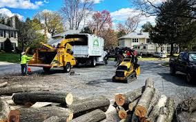 Best Tree Removal  in Lykens, PA